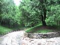 Sta a Csszri Palota parkjban.